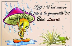 Annulation Rando du 27/10