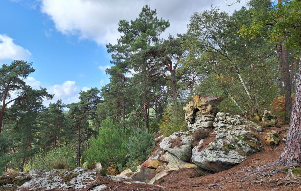 fontainebleau ch etroitures